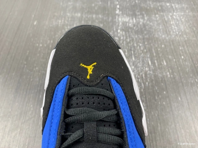 Jordan 14 Laney Retro 487471-407 0811